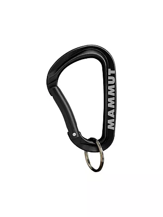 MAMMUT | Mammut Mini moschettone Workhorse Keylock L | 